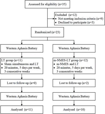 Effects of simultaneous use of m-NMES and language training on brain functional connectivity in stroke patients with aphasia: A randomized controlled clinical trial